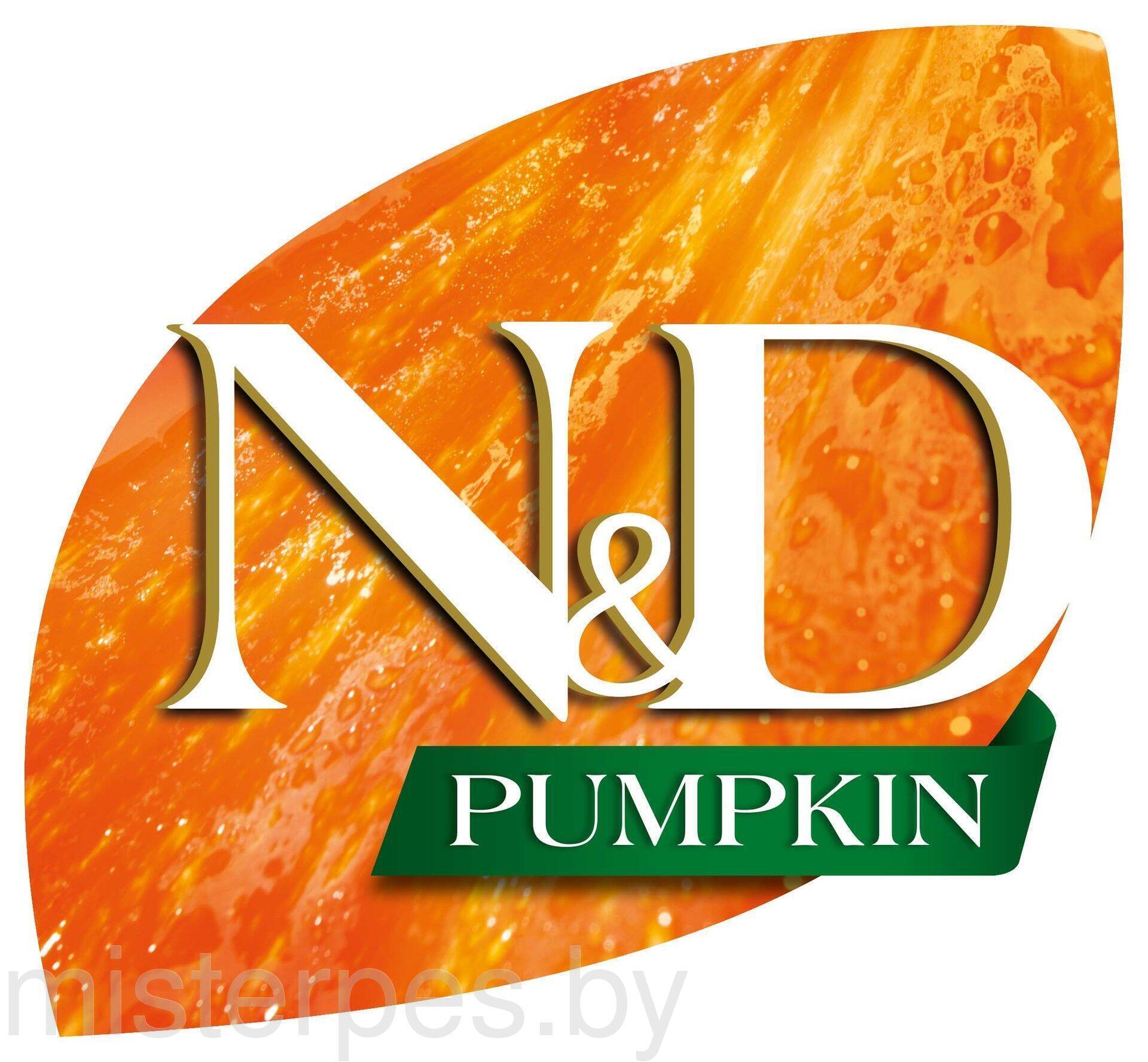 logo-ND-Pumpkin@small