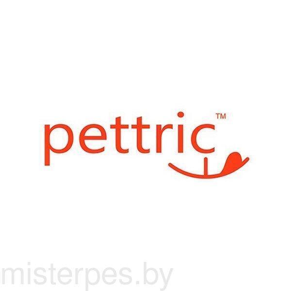 Pettric-2