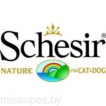 schesair-logo