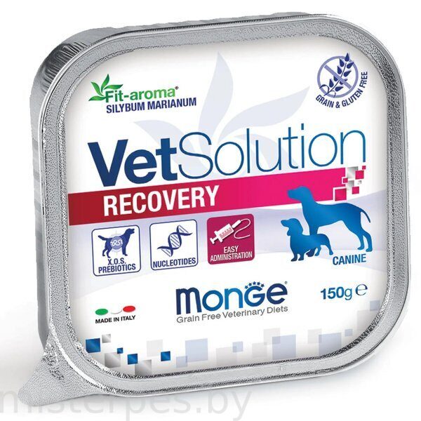 Monge VetSolution Recovery Dog (Курица, свинина)