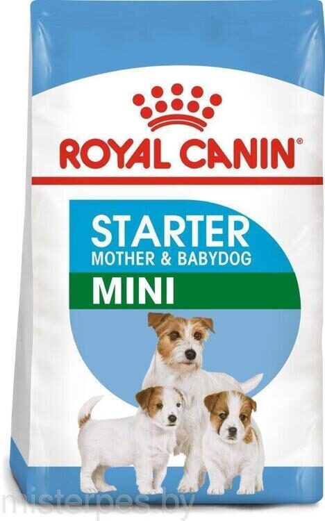 ROYAL CANIN MINI STARTER 3 кг