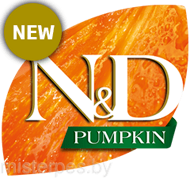 50_47_nd-pumpkin-logo-new.png