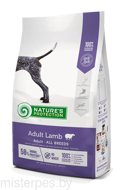 NATURE'S PROTECTION ADULT LAMB