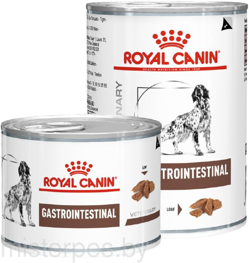 Royal Canin Gastro Intestinal