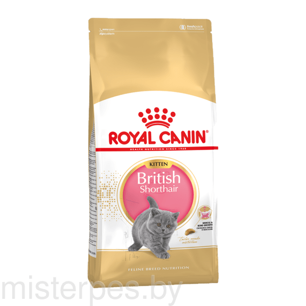 Royal Canin British Shorthair Kitten 10 кг