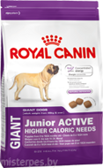 ROYAL CANIN GIANT JUNIOR ACTIVE