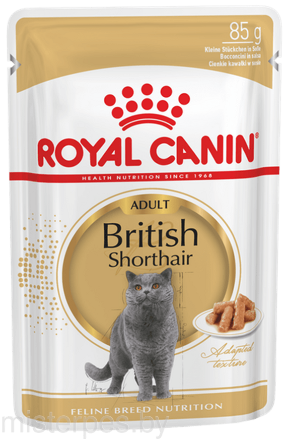 Royal Canin British Shorthair (соус)