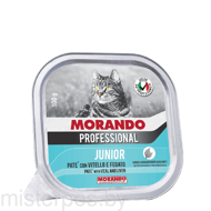 Morando Gatto  Junior Cat Veal and Liver