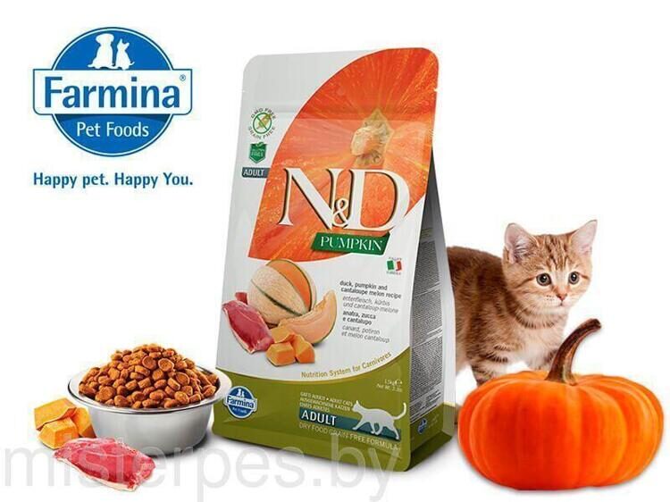 Farmina N&D GF Pumpkin Cat
